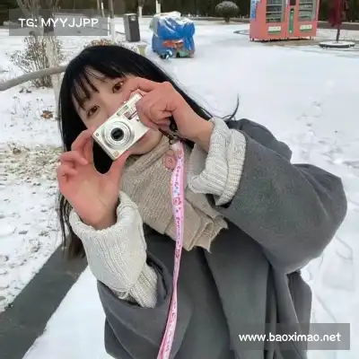 梅鹃仪